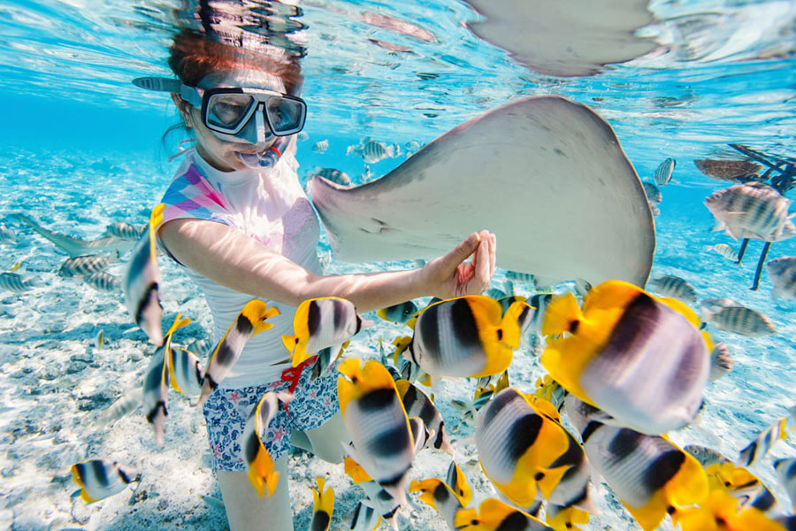 snorkeling, bali nusa penida tour