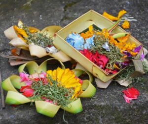 canang sari-balinese hindu offering, bali travel information