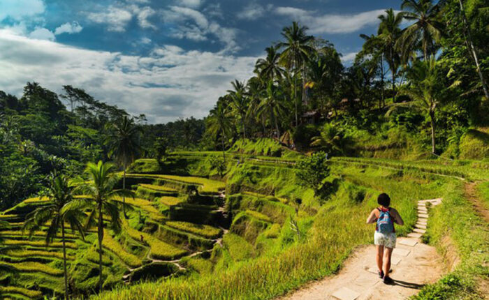 tegalalang rice terrace, gianyar places of interest