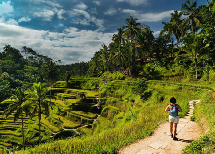 tegalalang rice terrace, gianyar places of interest