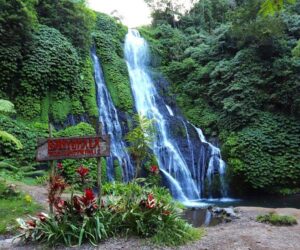 banyumala twin waterfall, buleleng places of interest