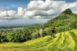 bukit jambul rice terrace, bali besakih tours