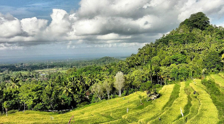 bukit jambul rice terrace, karangasem places of interest