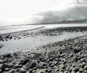 medewi beach, jembrana places of interest