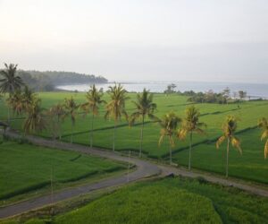 medewi beach, jembrana places of interest