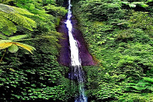 second waterfall at pucak manik waterfall, buleleng places of interest