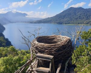 bird nest-wanagiri hidden hill, buleleng places of interest