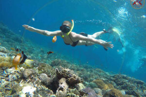 crystal bay, bali nusa penida snorkeling tour