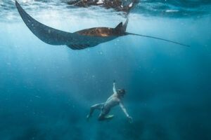 manta bay, bali nusa penida and lembongan tour