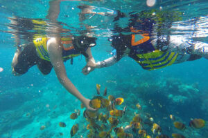 wall point, bali nusa lembongan snorkeling only tour