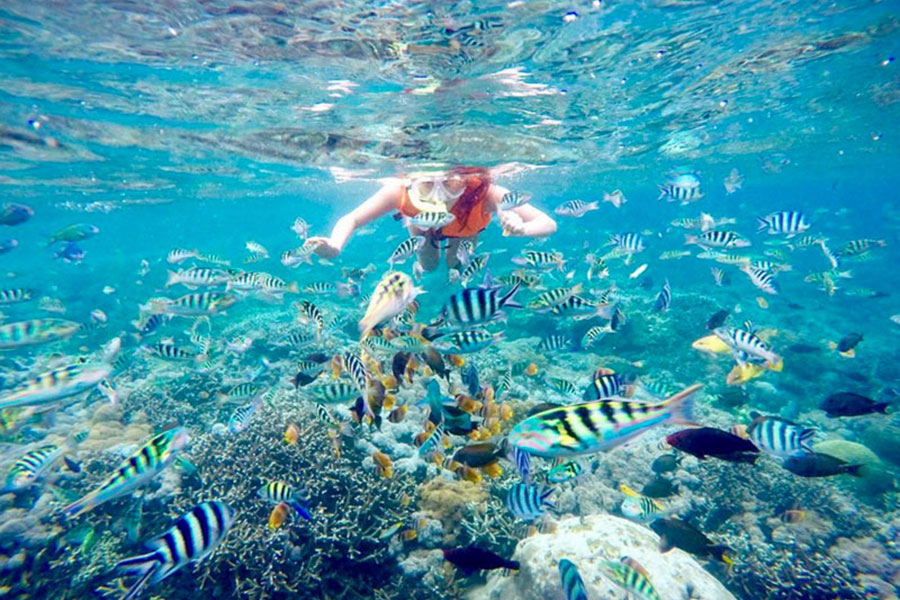 mangrove point, bali snorkeling and nusa lembongan islands tour