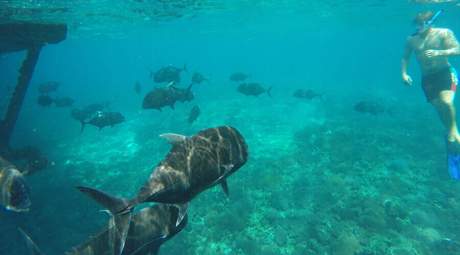 gt point, bali snorkeling and lembongan island stour