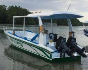 nusa penida snorkeling boat, bali nusa penida tour