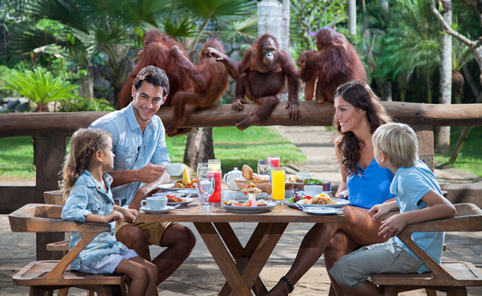 bali zoo breakfast with orangutan tour