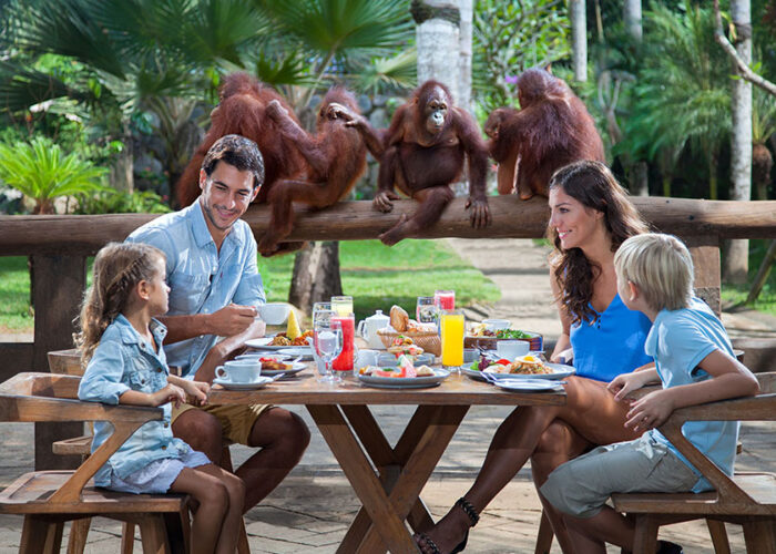 bali zoo breakfast with orangutan tour