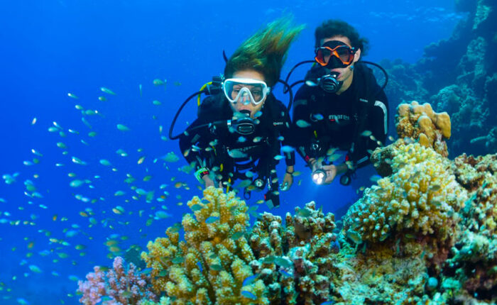 bali diving tour