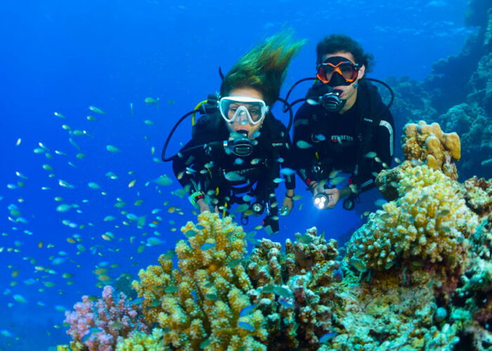 bali diving tour