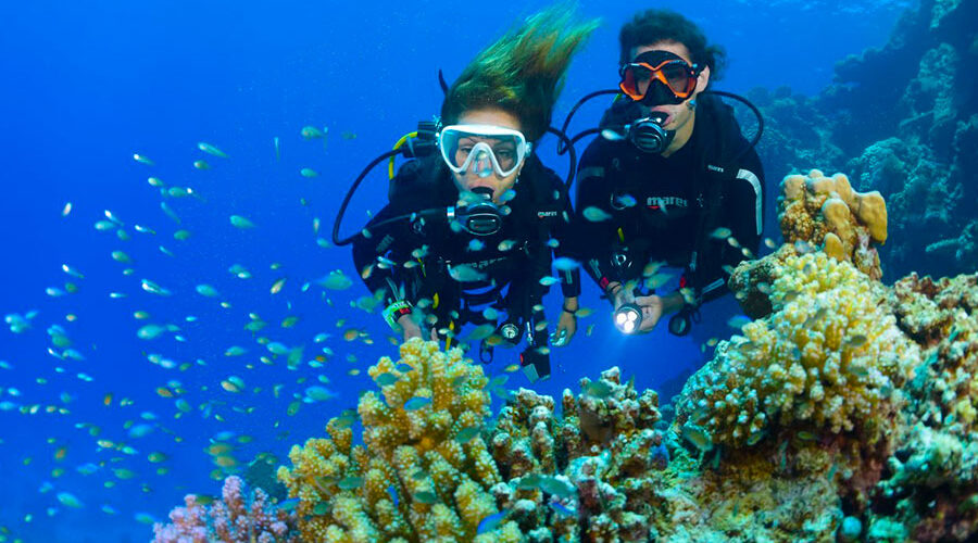 bali diving tour