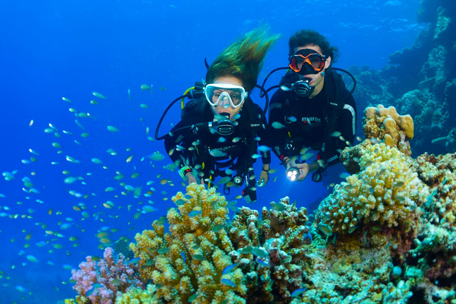 bali diving tour