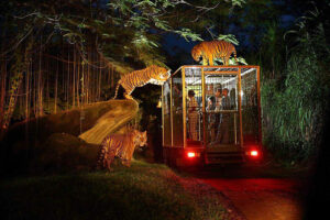 night safari packages, bali safari and marine park tour