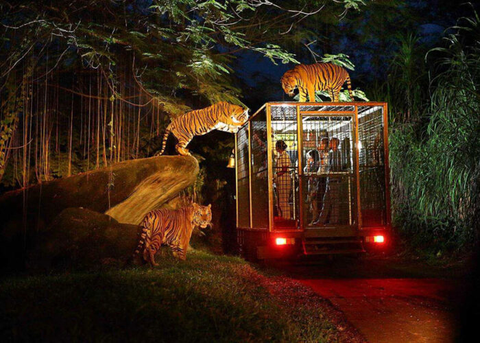 night safari packages, bali safari and marine park tour