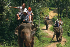 bali elephant back safari ride tour, bali elephant ride tour