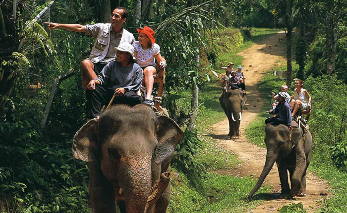 elephant back safari ride packages, bali safari and marine park tour