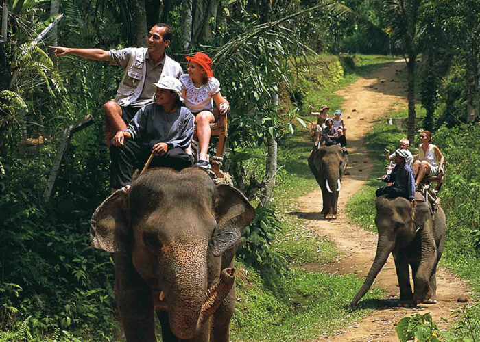 elephant back safari ride packages, bali safari and marine park tour