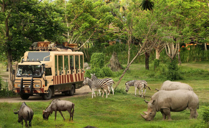 bali safari and marine park tour, bali activities tour packages