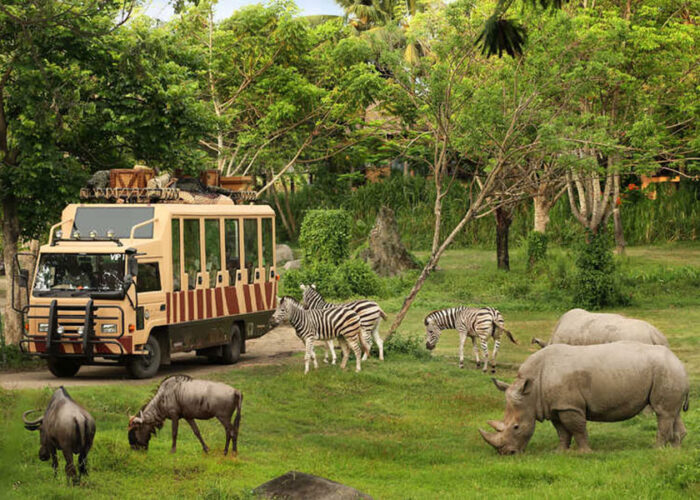 bali safari and marine park tour, bali activities tour packages