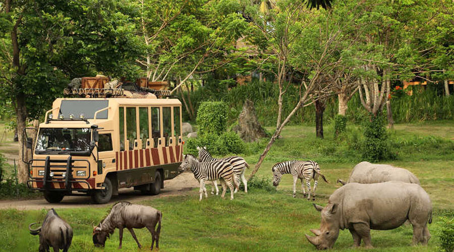 bali safari and marine park tour, bali activities tour packages