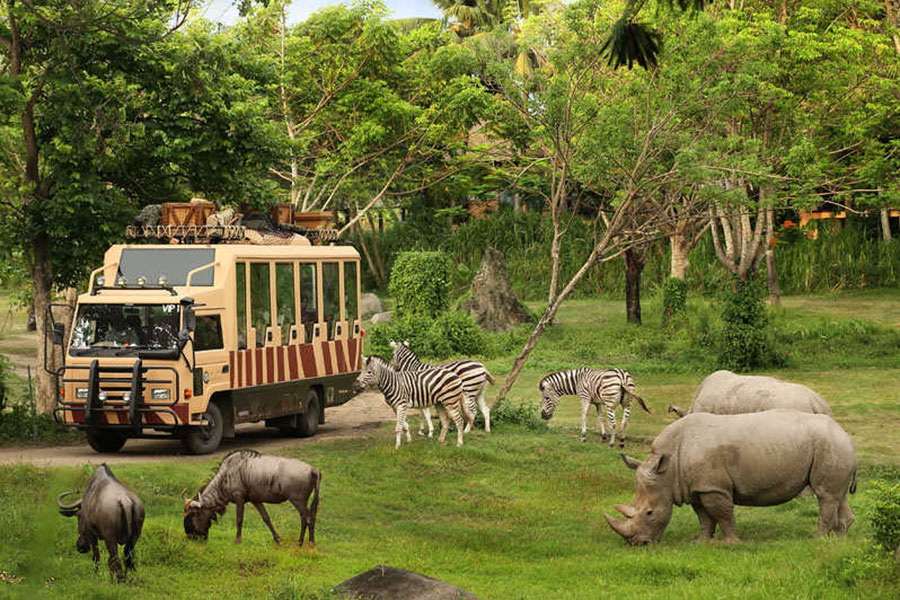 bali safari and marine park tour, bali activities tour packages