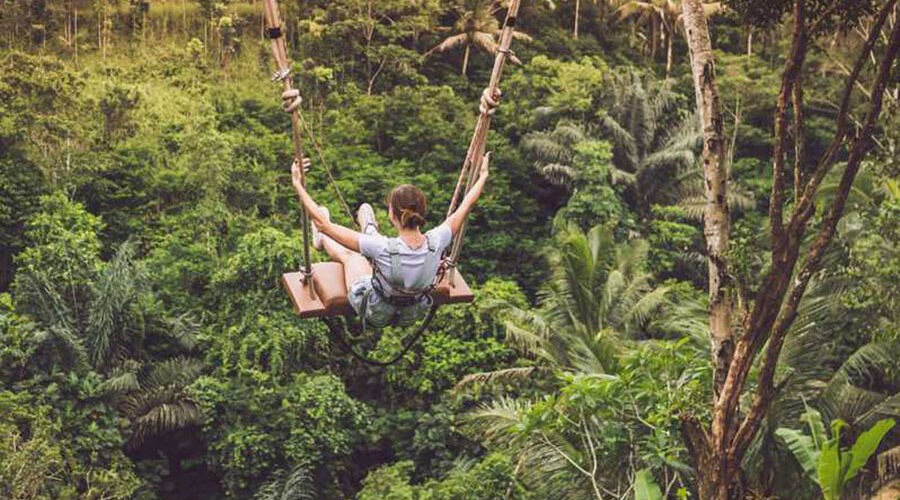 bali swing tour