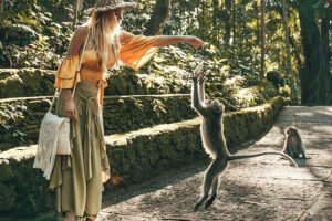 ubud monkey forest, bali swing and ubud tour