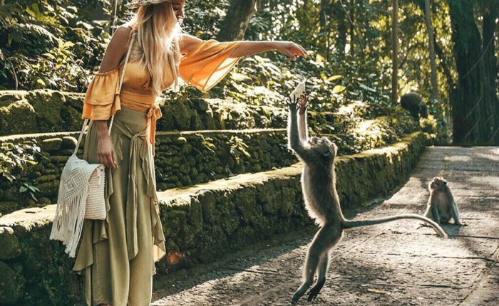 ubud monkey forest