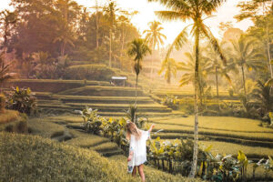 tegalalang rice terrace, bali swing and kintamani tour