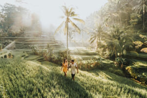 tegalalang rice terrace, bali swing and ubud tour