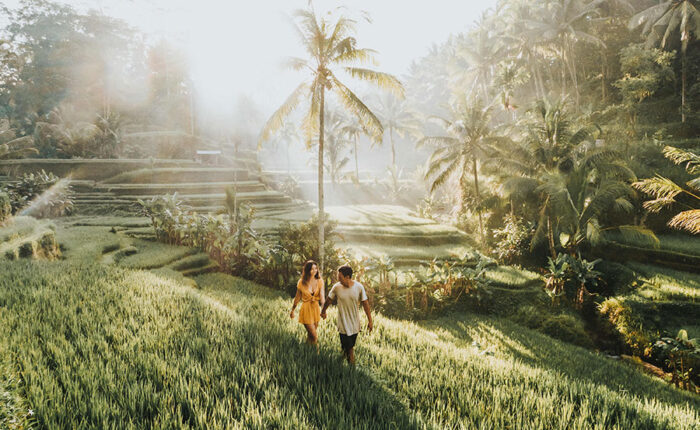 tegalalang rice terrace