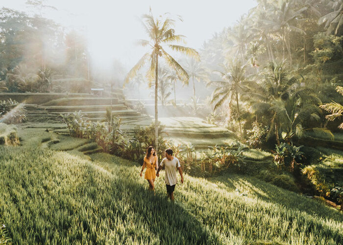 tegalalang rice terrace