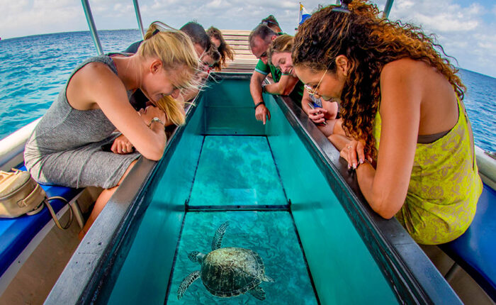 glass bottom boat