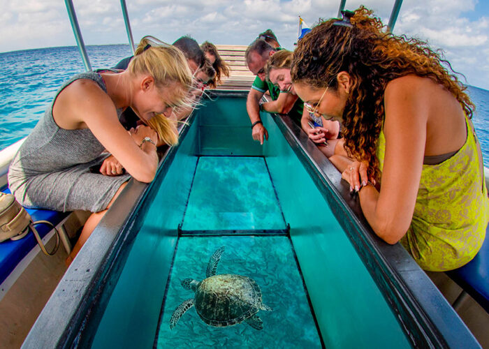 glass bottom boat