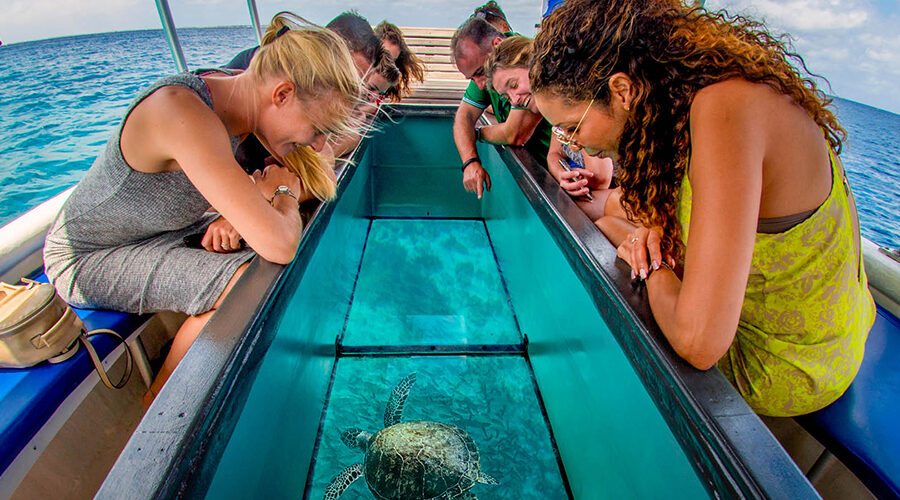 glass bottom boat