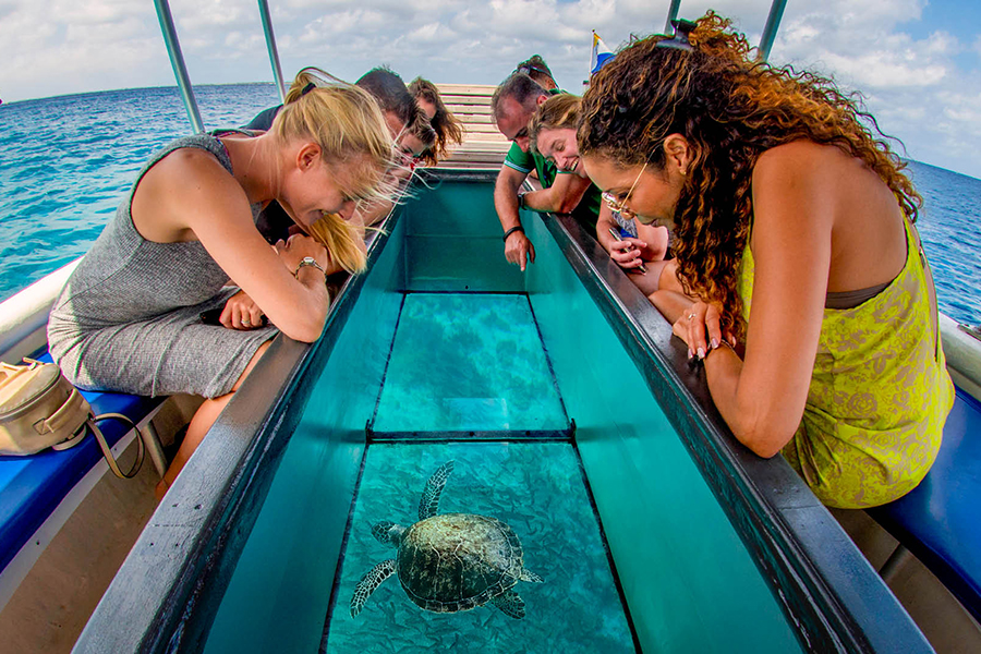 glass bottom boat