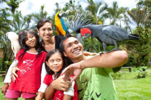 bali bird park tour, bali bird park and ubud tour