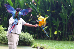 bali bird park