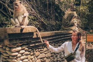 ubud monkey forest, bali denpasar ubud tours