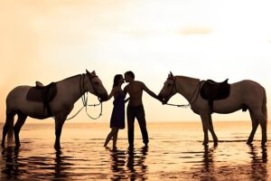 bali horse riding tour