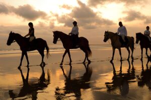 bali horse riding tour