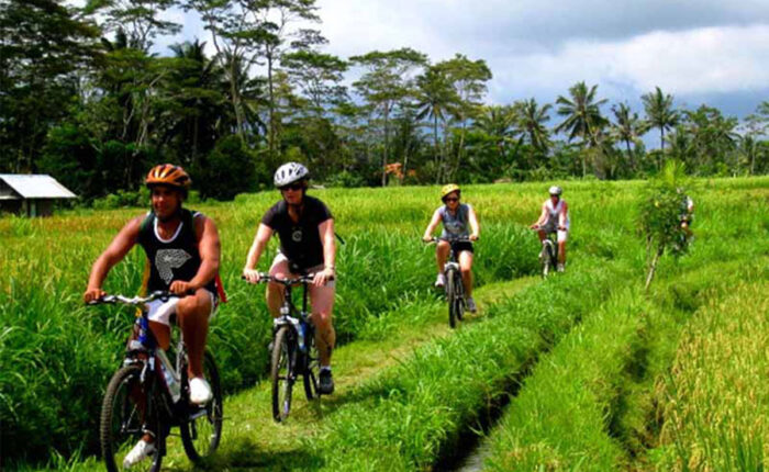 bali jatiluwih rice paddy tour