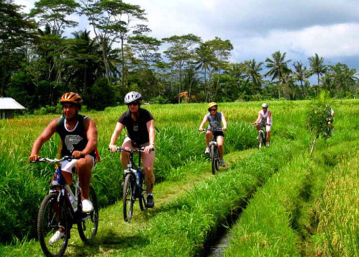 bali jatiluwih rice paddy tour